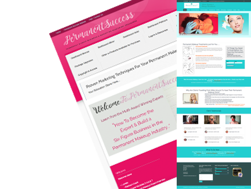 Permanent Success Mentoring and Website Pro Plus