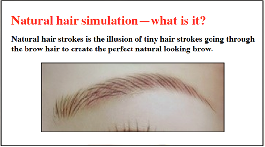Natural-Hair-Simulation-Eyebrows