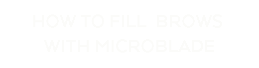 How To Fill Brows With Microblade